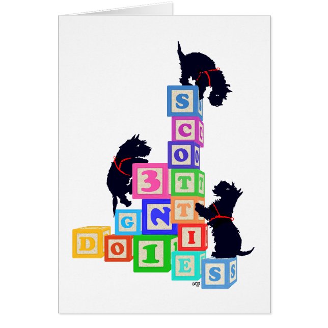 Scottie Blocks (Vorne)