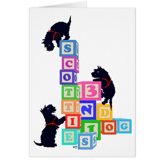 Scottie Blocks (Vorne)