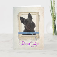 Scottie Danke-Card