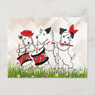 Scottie Dogs Band, niedlich und kuschelig Postkarte