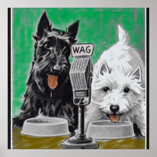 Scottie dogs Blackie and Whitie im Radio Poster