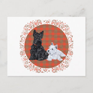Scottie Erwachsener & Westie-Welpe Postkarte