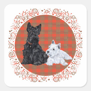 Scottie Erwachsener & Westie-Welpe Quadratischer Aufkleber