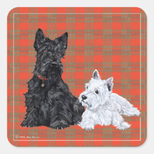 Scottie Erwachsener & Westie-Welpe Quadratischer Aufkleber