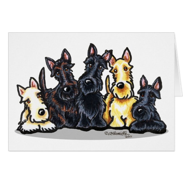 Scottie Five (Vorderseite (Horizontal))