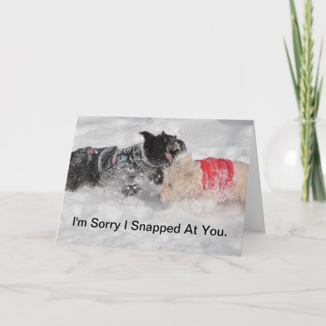 Scottie Greeting Card Karte (Vorderseite)
