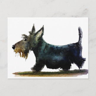 Scottie-Hund Postkarte