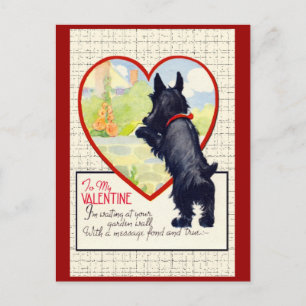 Scottie-Hund Valentinstag Scottish Terrier Feiertagspostkarte