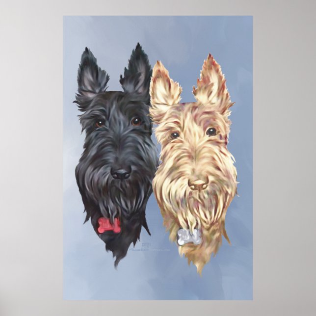 Scottie Hunde Poster (Vorne)