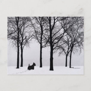Scottie im schneebedeckten Wald Postkarte