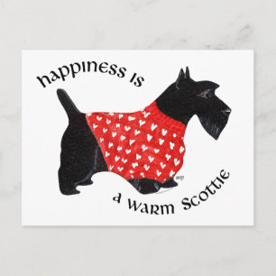 Scottie in Red Kariert Sweater Postkarte