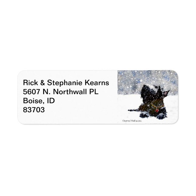 Scottie in Snow (Vorne)