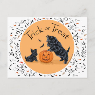 SCOTTIE Papa und Welpe Halloween Postkarte