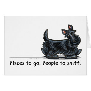 Scottie People zum Sniff