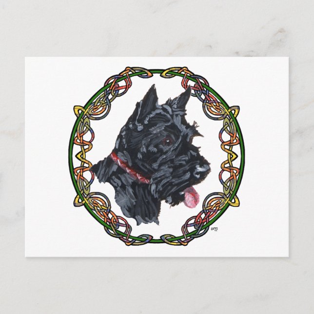 Scottie Portrait Celtic Knüpfarbeit Postkarte (Vorderseite)