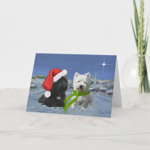 Scottie und Westie Weihnachtsstern Feiertagskarte