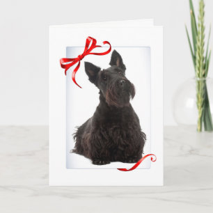 Scottie-Weihnachtskarte Feiertagskarte