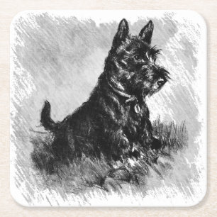 Scottie-Welpen-Holzkohlen-Art-Druck Rechteckiger Pappuntersetzer
