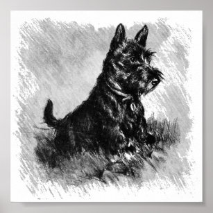 Scottie Welppy-Charcoal-Style Poster