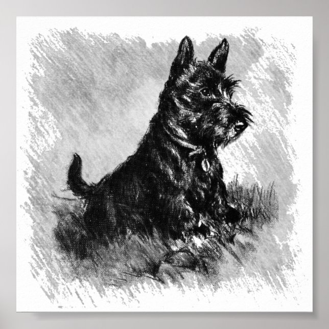 Scottie Welppy-Charcoal-Style Poster (Vorne)