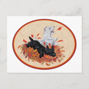Scottie & Westie Herbstlaub Postkarte