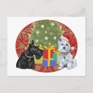 Scottie & Westie Weihnachten