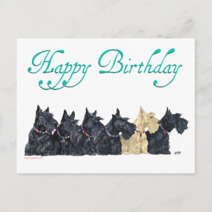 Scotties All in einer Reihe Postkarte