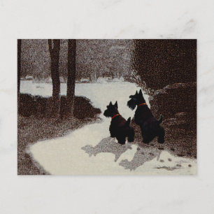 Scotties in surrealer Winternacht Postkarte