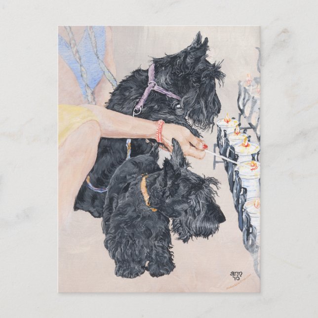 Scotties Lighting Candles Postkarte (Vorderseite)