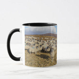 Scottish Blackface Sheep Herd Tasse