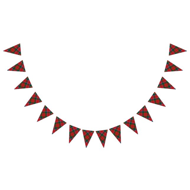 Scottish Clan MacNaughton MacNachtan Tartan Wimpelkette (Alle)