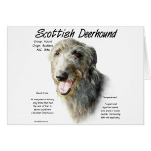 Scottish Deerhound History Design