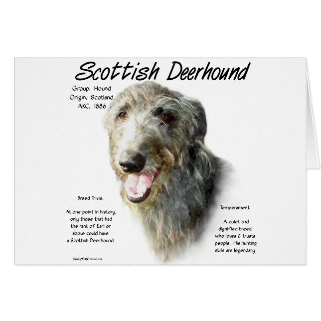 Scottish Deerhound History Design (Vorderseite (Horizontal))