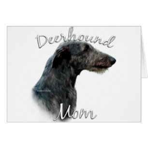 Scottish Deerhound Mama 2
