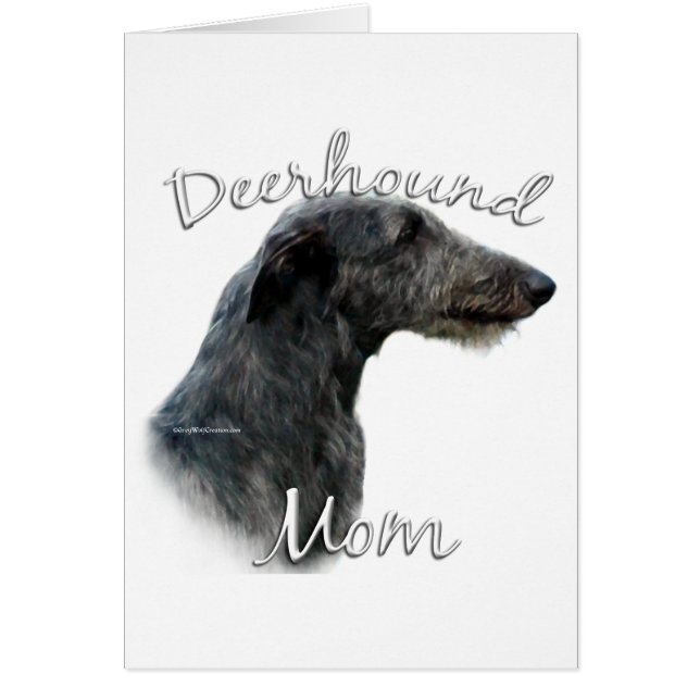 Scottish Deerhound Mama 2 (Vorne)