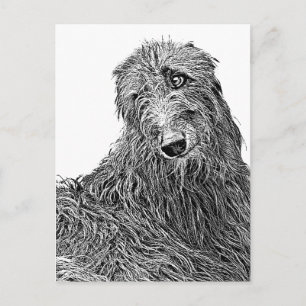 Scottish deerhound Noir et Blanc Postkarte