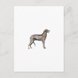 Scottish Deerhound Postkarte