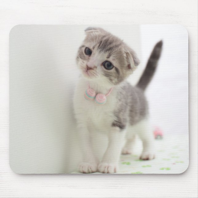 Scottish-Falten-Kätzchen Mousepad (Vorne)