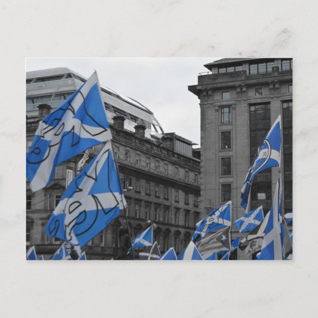 Scottish Flags Fly Proudly in Glasgow Postkarte (Vorderseite)