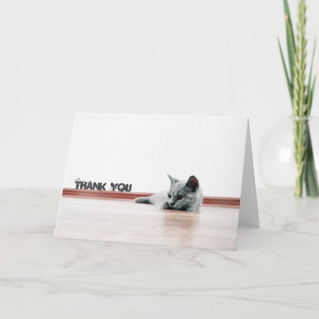 Scottish Fold Cat Kitten Super Niedlich "Danke" Dankeskarte (Vorderseite)