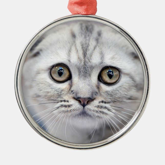 Scottish Fold Cat Ornament Aus Metall (Vorne)