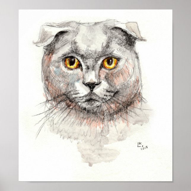Scottish Fold Cat Poster (Vorne)