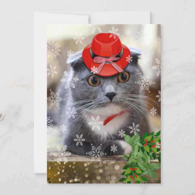 Scottish Fold Christmas Cat Feiertagskarte (Vorderseite)