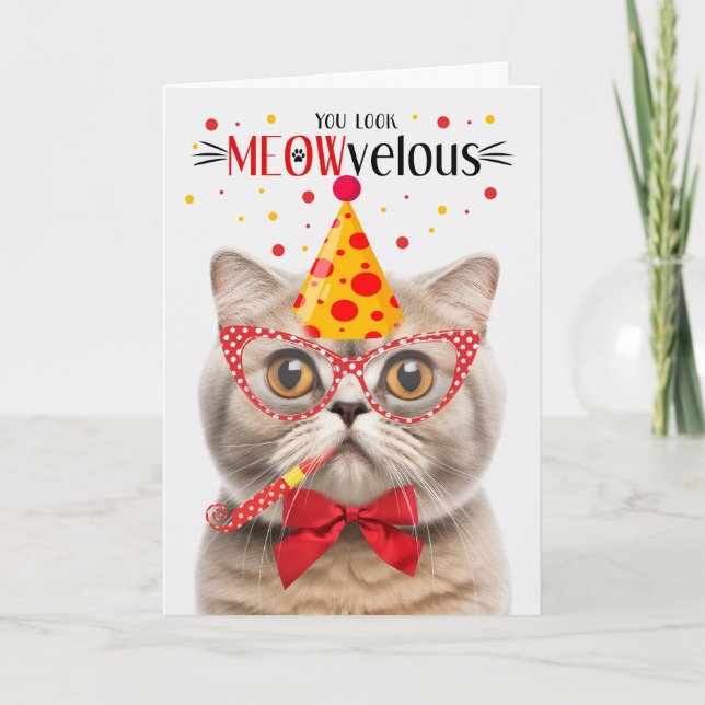 Scottish Fold Cream Cat MEOWvelous Birthday Karte (Vorderseite)