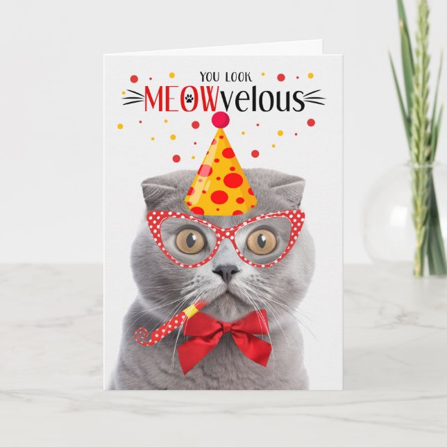 Scottish Fold Gray Cat MEOWvelous Birthday Karte (Vorderseite)