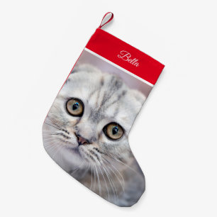 Scottish Fold Kleiner Weihnachtsstrumpf