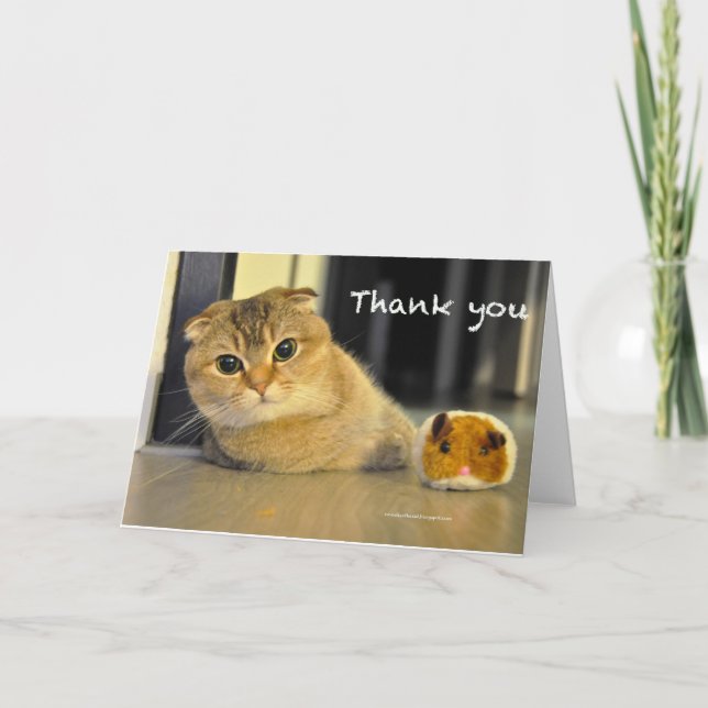 Scottish Fold Noodles Thank you Card Dankeskarte (Vorderseite)