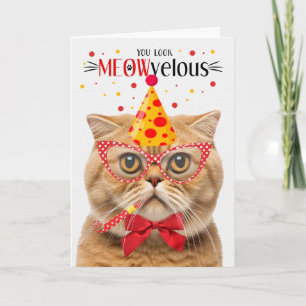 Scottish Fold Orange Cat MEOWvelous Birthday Karte