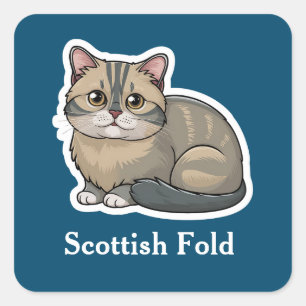Scottish Fold Quadratischer Aufkleber