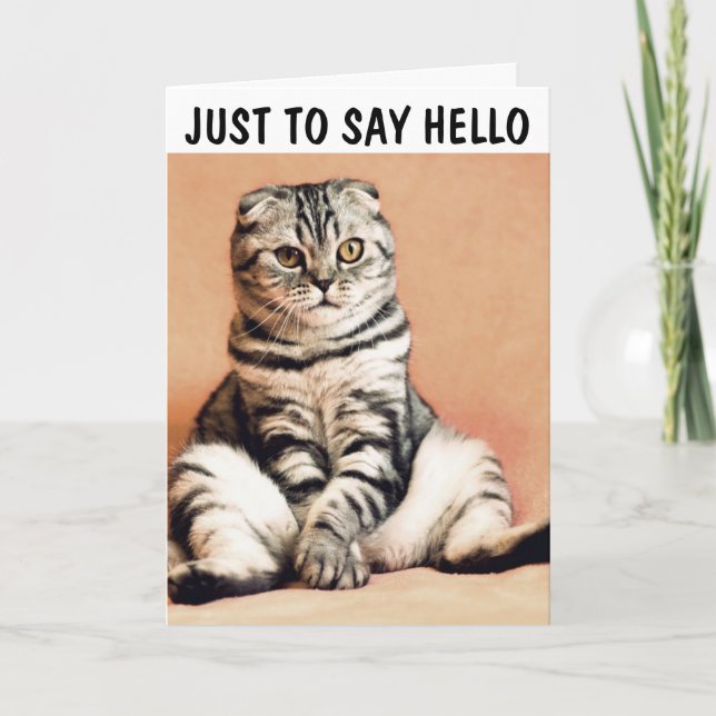 SCOTTISH FOLGE CAT GREETING CARD ZU SAGEN HELLO KARTE (Vorderseite)